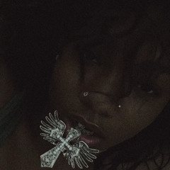 ride or die (prod.bredgawd)