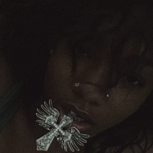 ride or die (prod.bredgawd)