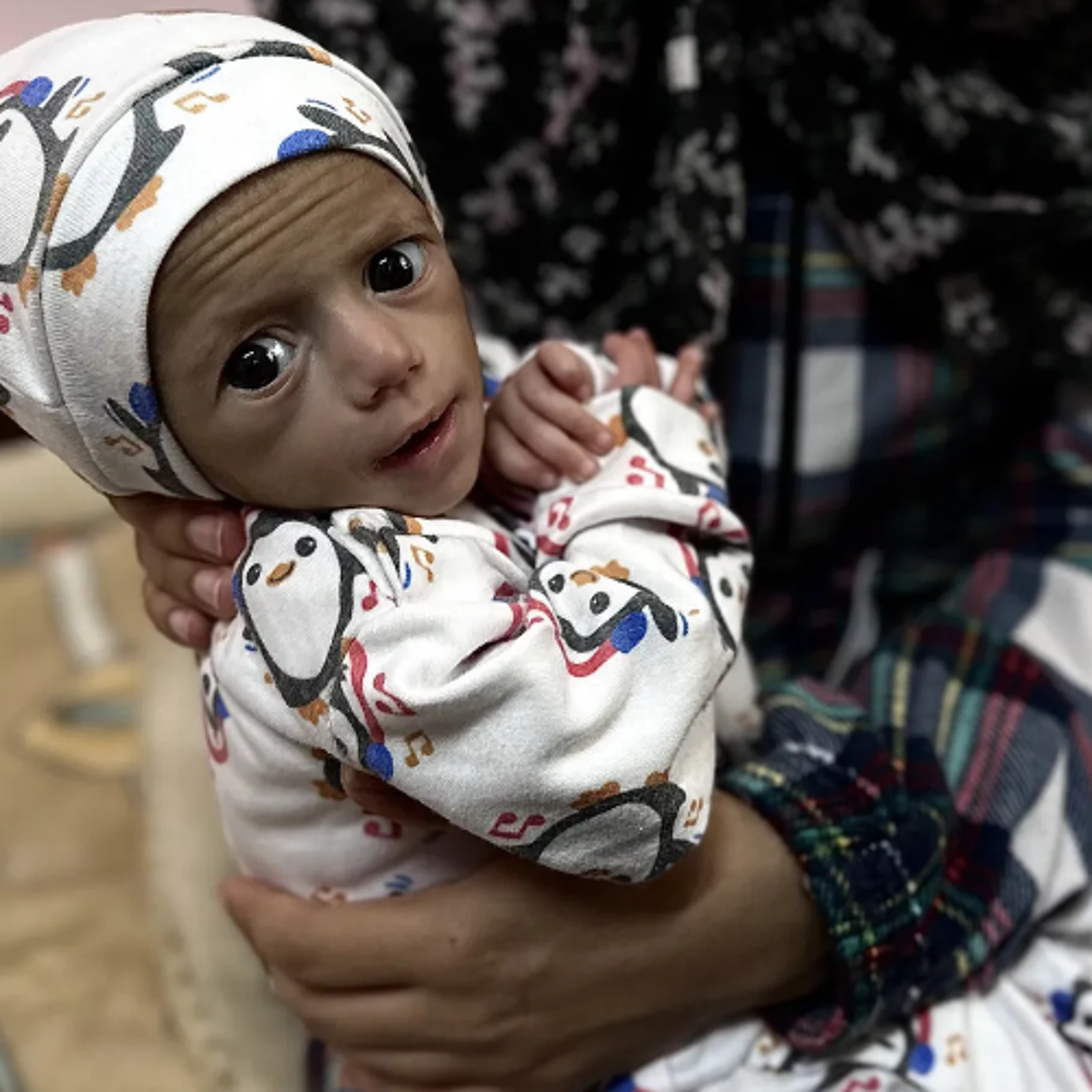 Heroic people of Gaza continue to resist murderous infamy