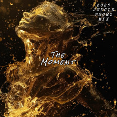 Gwarden - The Moment (2025 JUNGLE PROMO MIX)