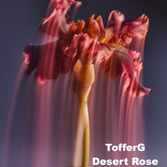 TofferG - Desert Rose