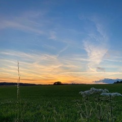 Tigerskin & Jack Jenson - Golden Girls feat. Lazarusman (Sytec Deeper Remix)