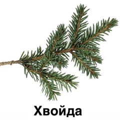 Хвойда (prod.deemass)