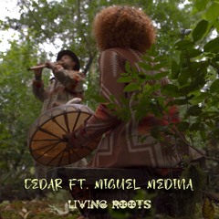 Cedar ft. Miguel Medina