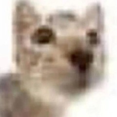 Bills Horn super Simulator Remix