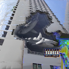 11/19