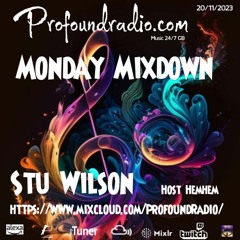 #60 Profound Radio  Melodic House & Techno @djstuwilson
