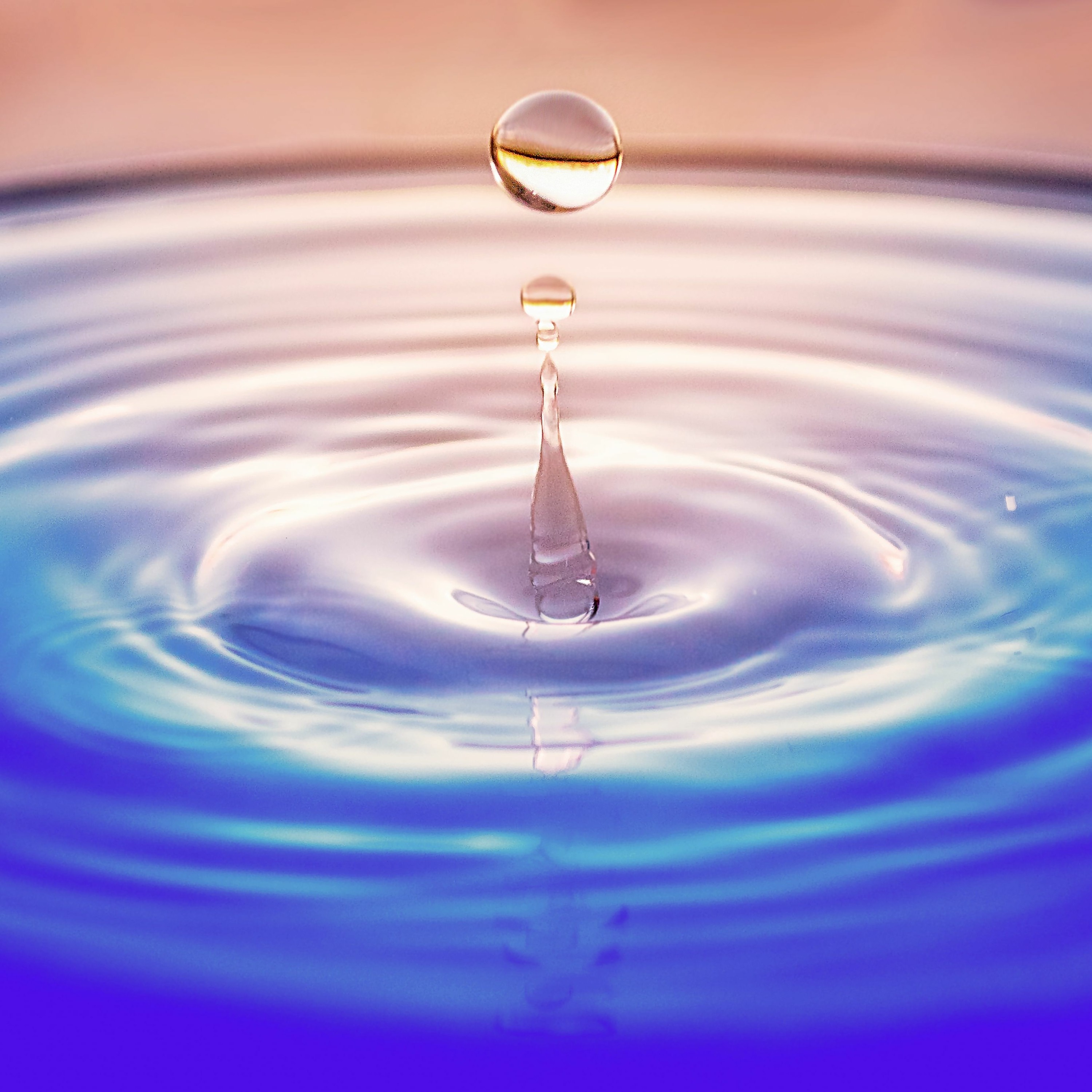 Nestor & Koppel 1.12