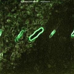 ZO VIET (nodisponible)