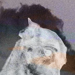 SSOLVE - Enchanted