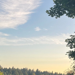 House Party Live Set | Dance Party 8.9.25