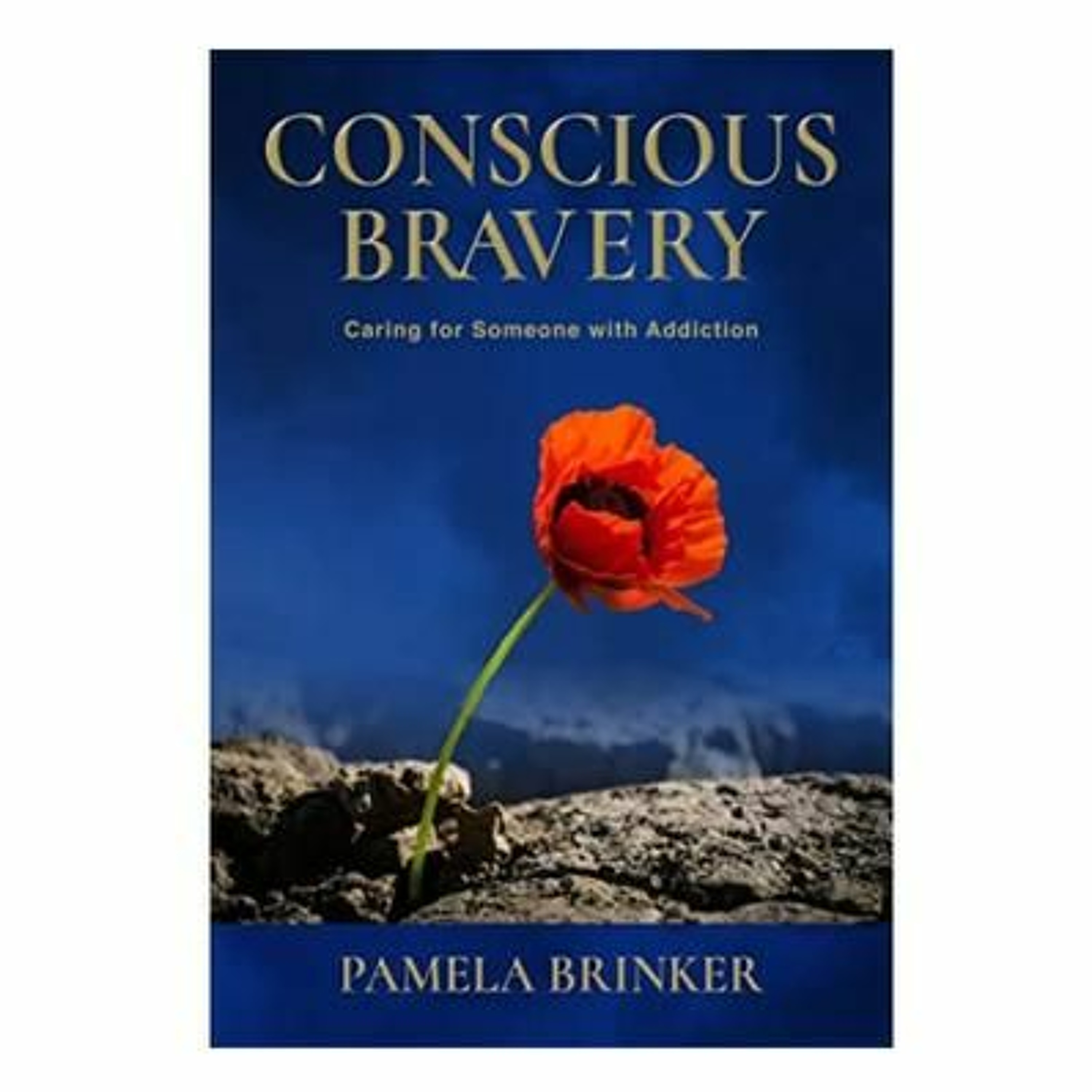 Podcast 951: Conscious Bravery: Caring For Someone with Addiction with Pamela Brinker episode artwork