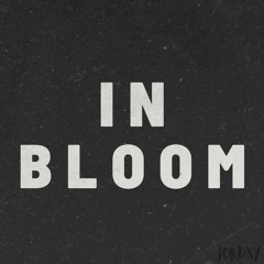 In Bloom (Nirvana cover)