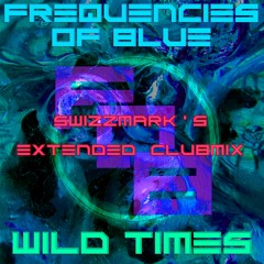 Wild Times (SwizzMark's Extended Club Mix)