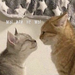 mirele - скинь котиков