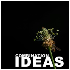 Saturday Night Noodle