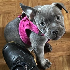 Sexy Drill instrumental Type Beat