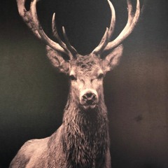 Quarantäne Tag 7 - Zur Abwechslung Fit Am Montag