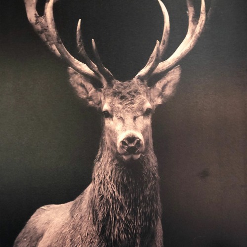 Quarantäne Tag 7 - Zur Abwechslung Fit Am Montag