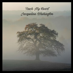 Touch My Heart