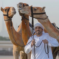 ميحد حمد-الضو