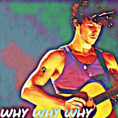 WHY WHY WHY(mellotrix remix)