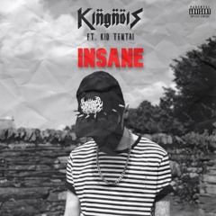 INSANE (ft. Kid Tentai)