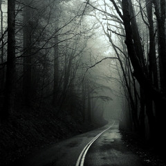 The Dark Forest