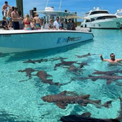 Review Special Price Exuma Island Hopping Swimming Pigs Tour With Lunch From Nassau