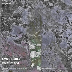 Stegi | evo-natura with f0ment ― 27 August 2024