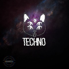 Techno Cat - Phoenix (5.28.22)