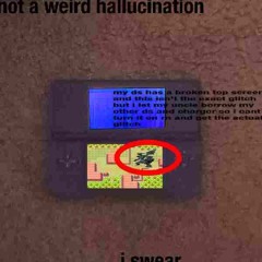 Finding Zekrom In Pokemon Sapphire's Route 113