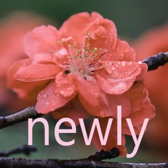 Newly