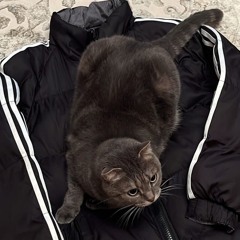 L3TO (youngslashprod)