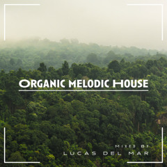 Organic & Melodic House Journey Vol. 04