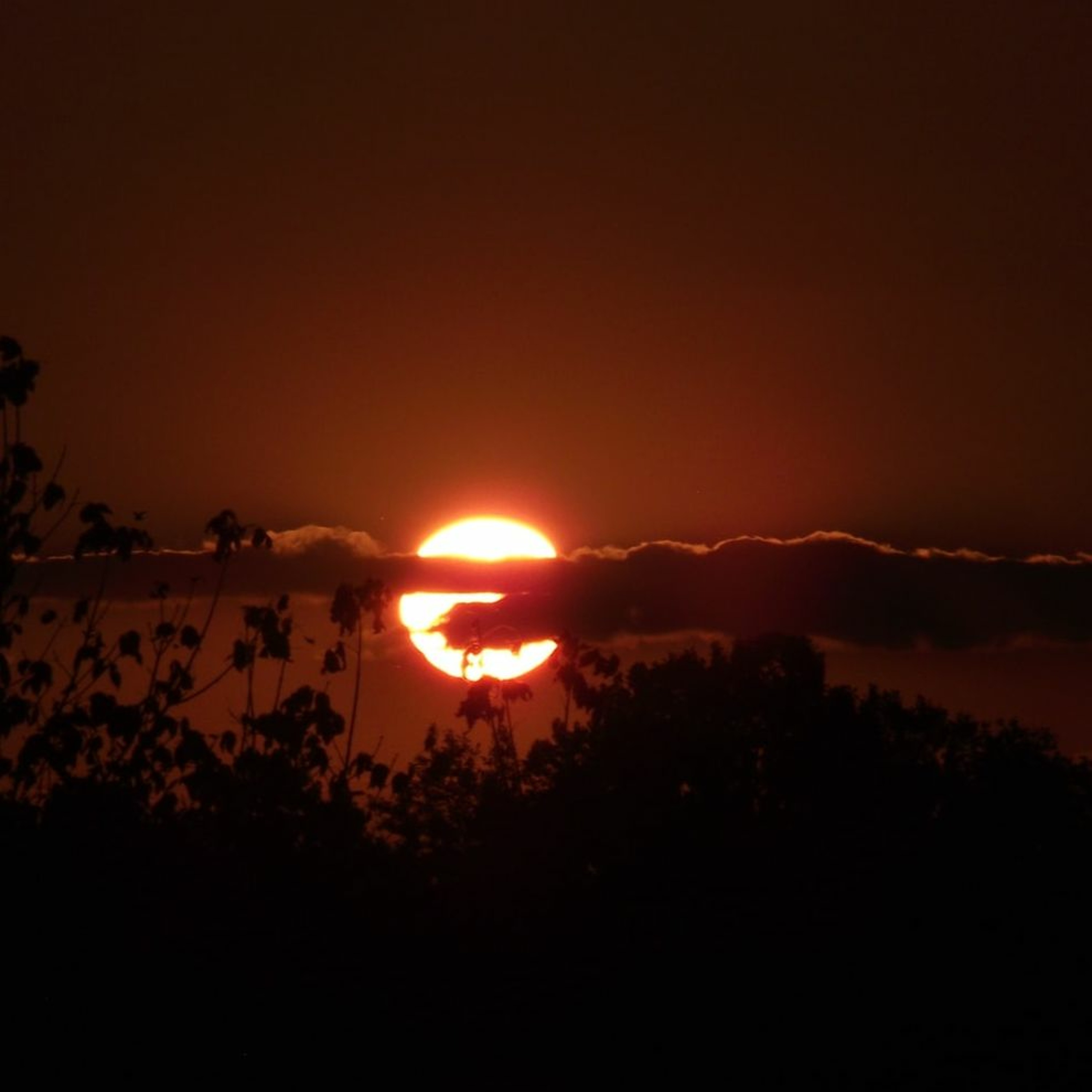 The  Double Twillight