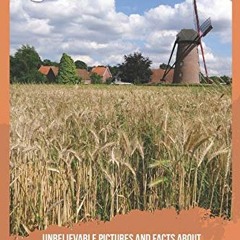 [View] EBOOK EPUB KINDLE PDF Unbelievable Pictures and Facts About Netherlands by  Olivia Greenwood