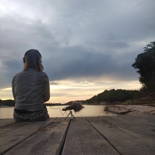 Immersive sound journey through Brasil