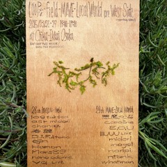2025/03/28+29 loopな - field - MAVE - Local World  pre West Side at CHIKA-IKKAI Osaka