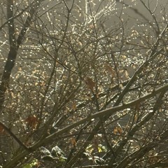 Lied 4 - 29.11.25, 20.33.wav