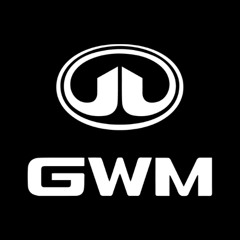 SPOT - GWM POER_BUENO