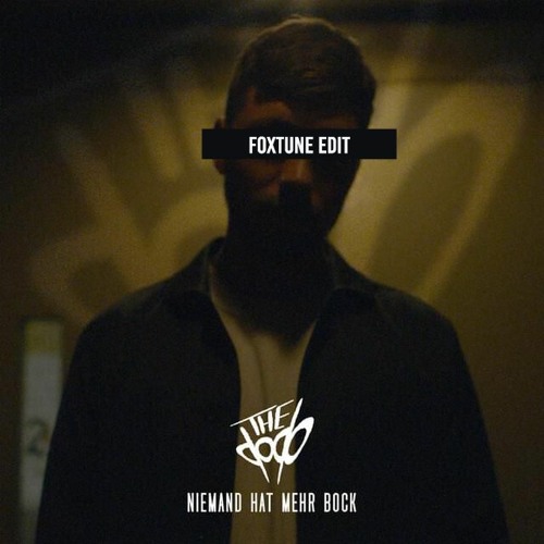 TheDoDo - Niemand hat mehr Bock (FoxTune Edit)