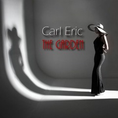 Carl Eric - Diamonds In Your Eyes