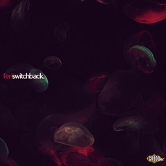 GRD027 // Feri - Switchback