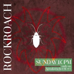 Rock Roach - Promo