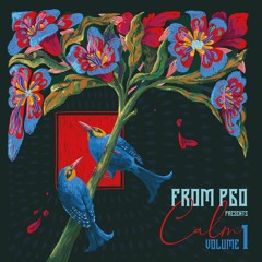 Premiere | From P60 With MnemonicKiss - Sun Kissed Shores (MFCV002)