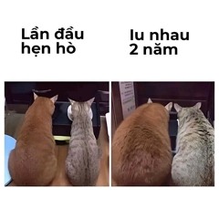 Yến Vô Hiết Remix 燕无歇 - 蒋雪儿 Tưởng Tuyết Nhi (Dj QT Remix)