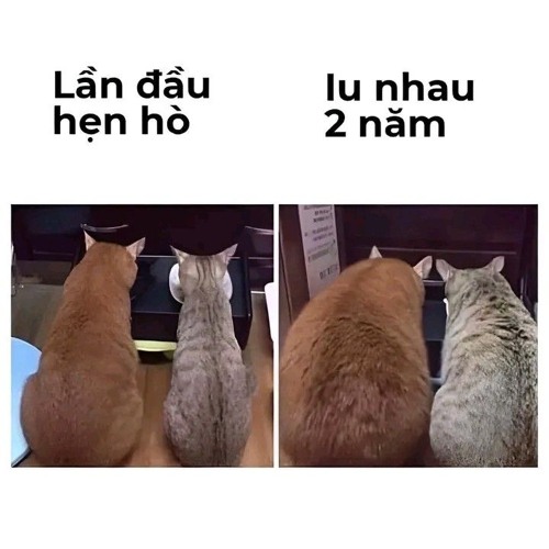 Yến Vô Hiết Remix 燕无歇 - 蒋雪儿 Tưởng Tuyết Nhi (Dj QT Remix)
