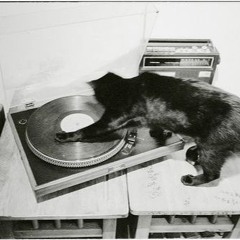 FeLine @ Club Waizema | nomenu Rush Party 6.15.24