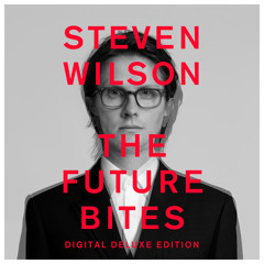 PERSONAL SHOPPER (Pure Reason Revolution Mix)